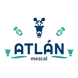 photo zoom of cactus black and white