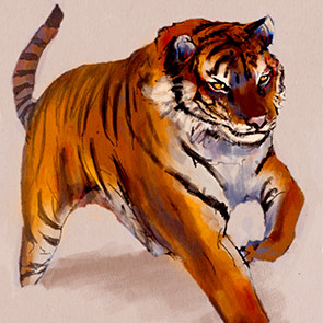 photo zoom of cat black and white